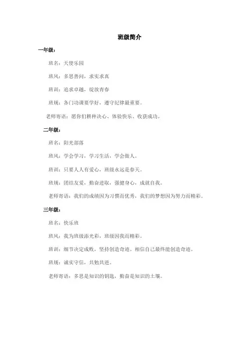 小学班级简介