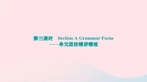 Unit13SectionAGrammarFocus练习课件人教版英语九年级全册