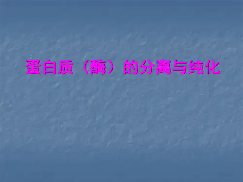 蛋白质分离与纯化
