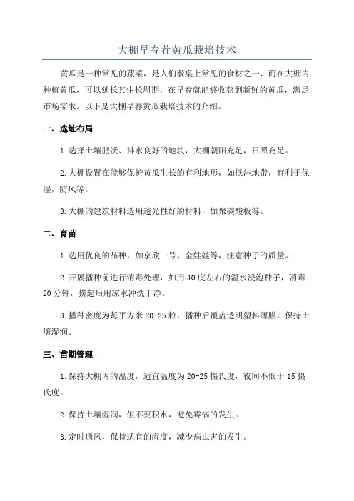 大棚早春茬黄瓜栽培技术