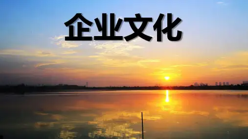小米的企业文化 PPT课件