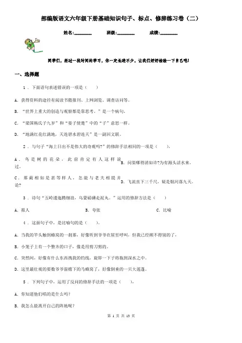 部编版语文六年级下册基础知识句子、标点、修辞练习卷(二)