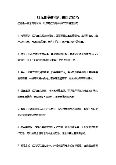 红花的养护技巧和管理技巧