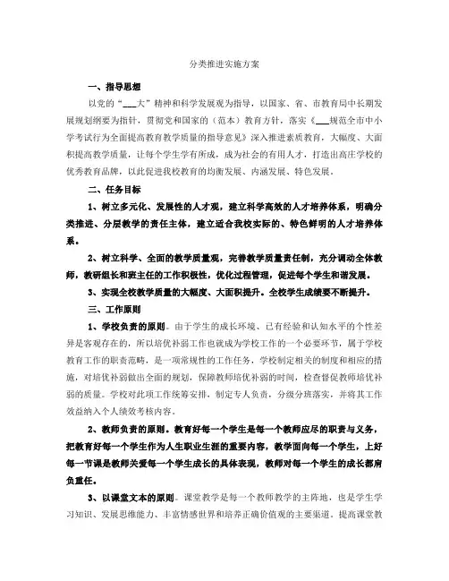 分类推进实施方案