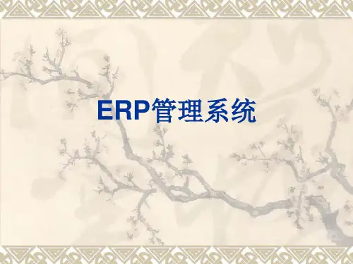ERP管理系统  ppt课件