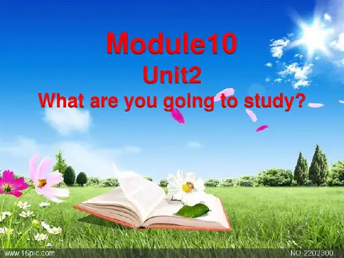 六年级下册英语Module 10 Unit2 What are you going to study