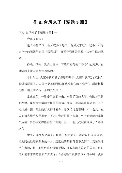 作文-台风来了【3篇】