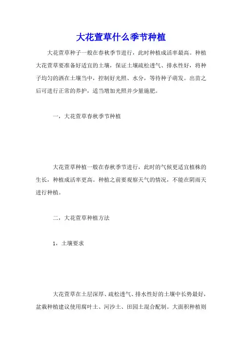 大花萱草什么季节种植