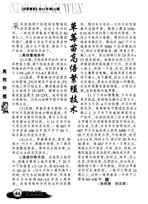 草莓苗高倍繁殖技术
