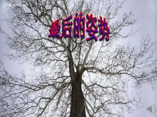 苏教版六年级上册《最后的姿势》教学课件