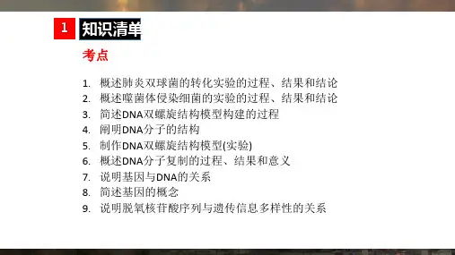 必修二学考复习第3章基因的本质(共31张PPT)