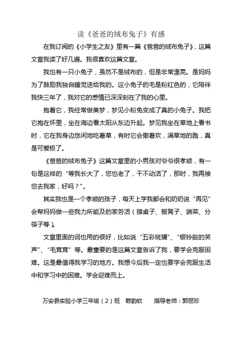 读〈爸爸的绒布兔子〉有感