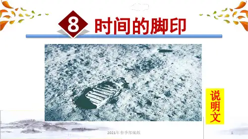 人教部编语文八年级下册第二单元8.时间的脚印ppt