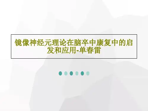 镜像神经元理论在脑卒中康复中的启发和应用-单春雷共132页文档