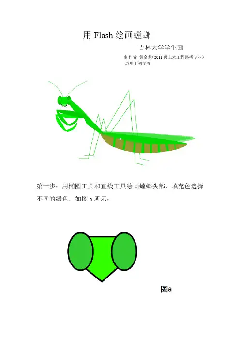 用Flash绘画螳螂