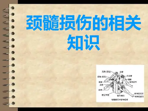 颈髓损伤PPT课件