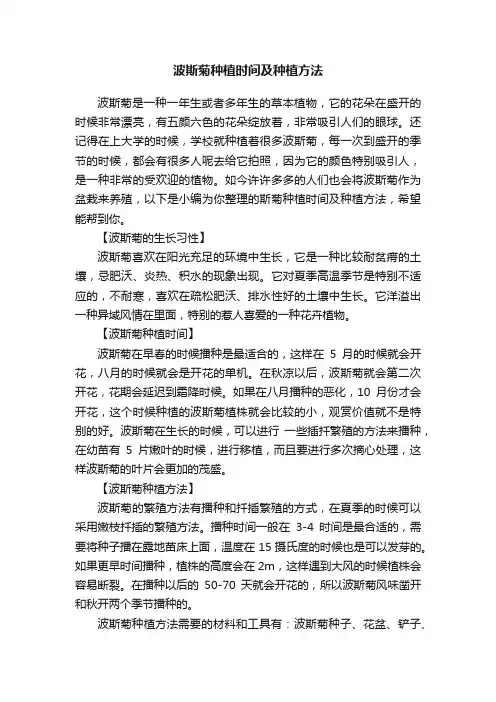 波斯菊种植时间及种植方法