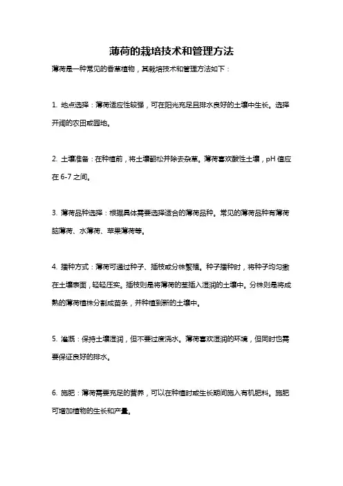 薄荷的栽培技术和管理方法