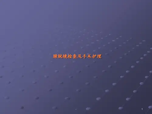 膀胱镜检查与手术护理ppt课件