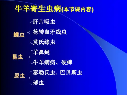 牛羊病寄生虫病 ppt课件 共94页