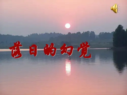 八年级语文上册 落日的幻觉课件 人教新课标版