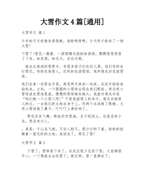 大雪作文4篇[通用]