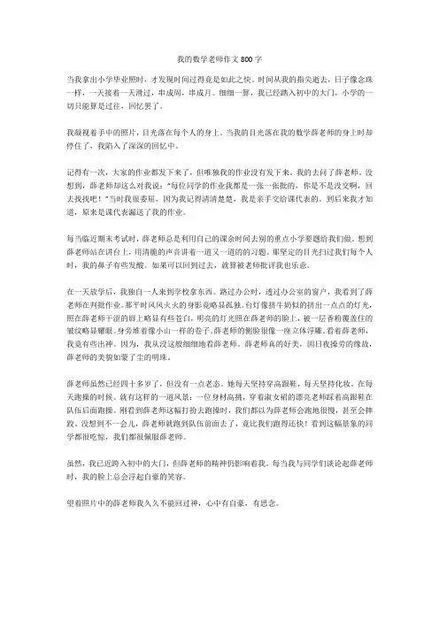 我的数学老师作文800字完美版