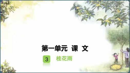 部编版语文五年级上册第一单元 3 桂花雨习题课件(共19张PPT)