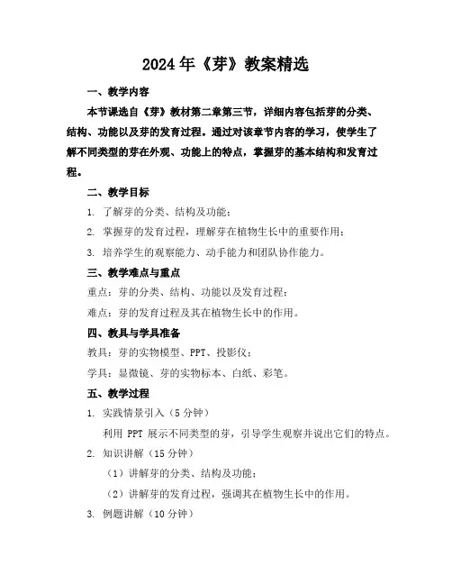 2024年《芽》教案精选