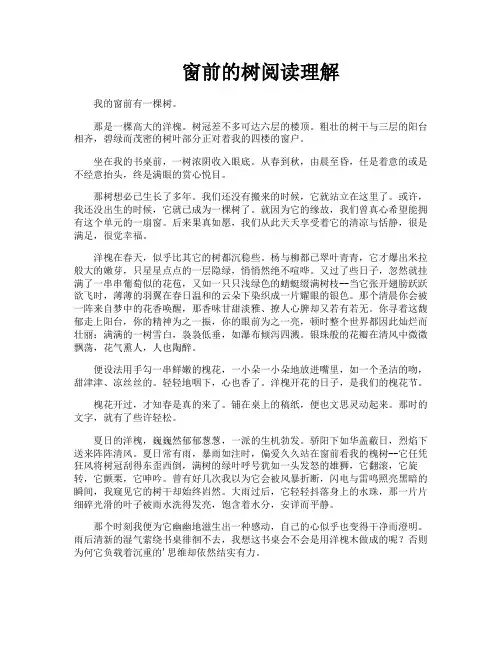 窗前的树阅读理解