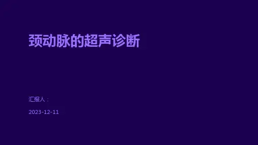 颈动脉的超声诊断