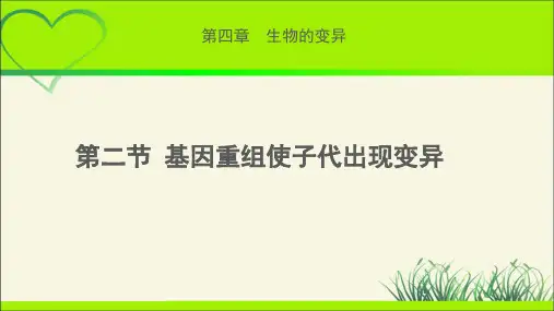 《基因重组使子代出现变异》示范公开课教学课件【高中生物浙科版(新课标)】