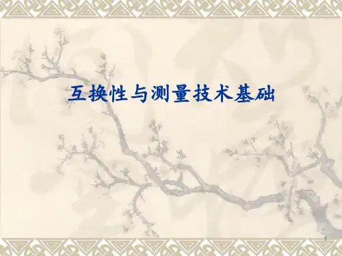 互换性与测量技术基础 ppt课件