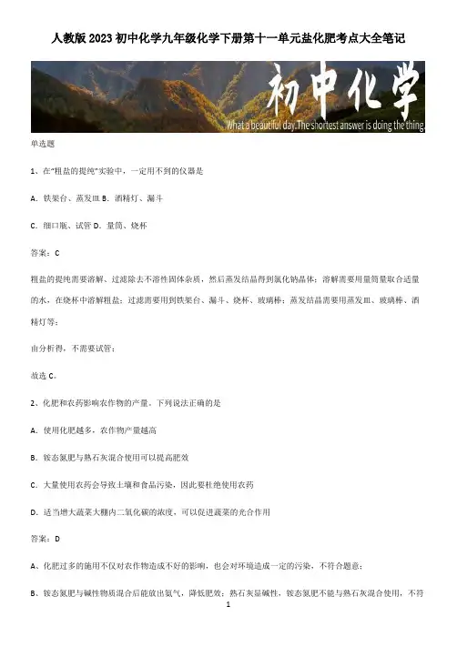 人教版2023初中化学九年级化学下册第十一单元盐化肥考点大全笔记