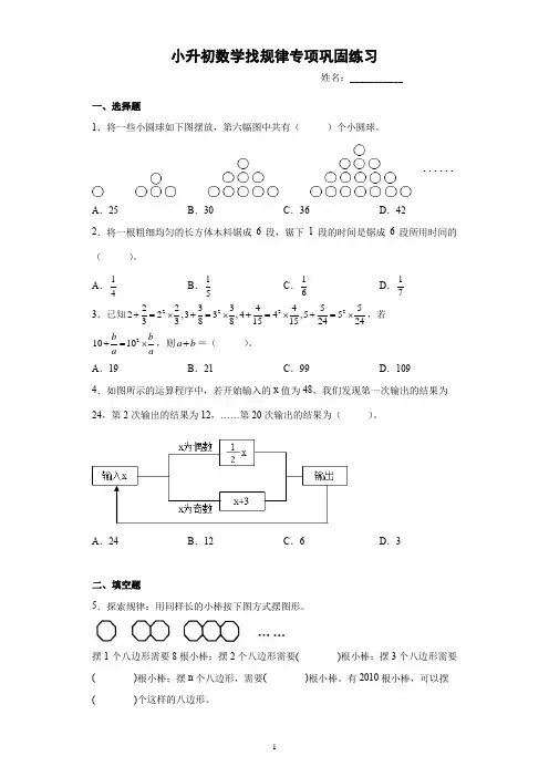 小升初找规律专项巩固练习(试题)-六年级下册数学苏教版
