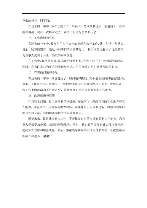 法院年度总结报告个人