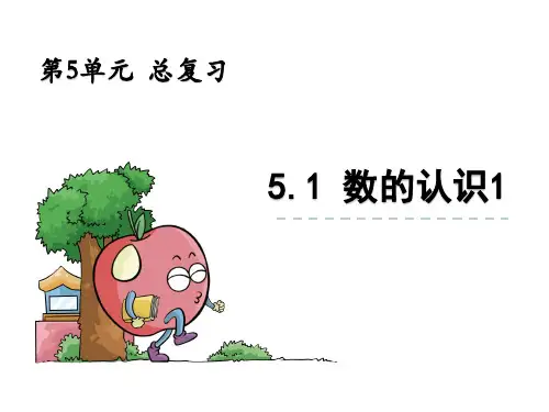 西师大版六年级数学下册-数的认识1课件