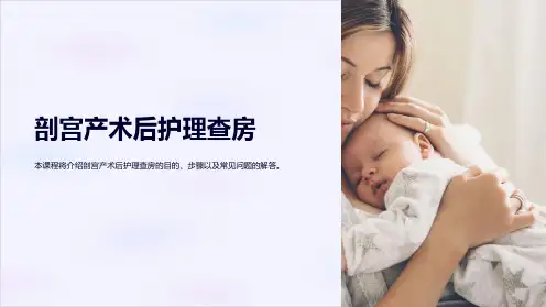 培训资料-剖宫产术后护理查房