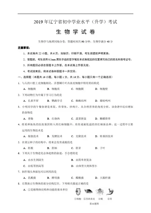 辽宁省2019年初中学业水平(升学)考试生物试题