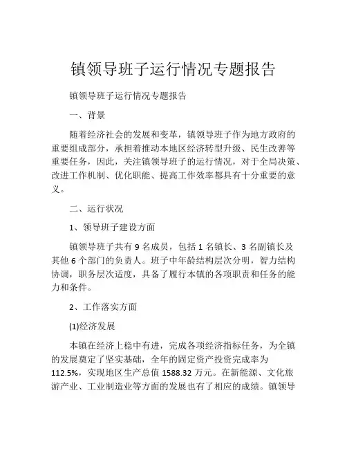 镇领导班子运行情况专题报告