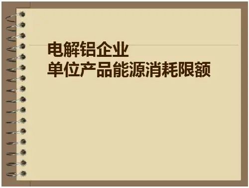 电解铝企业单位产品能源消耗限额(46页)