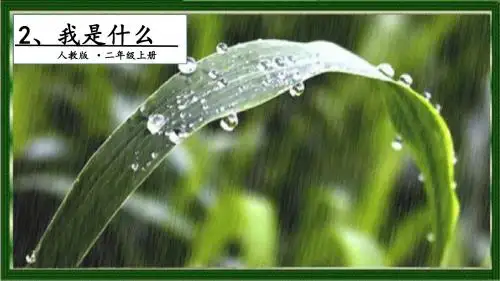 二年级上册语文课件-2、我是什么∣人教(部编版)