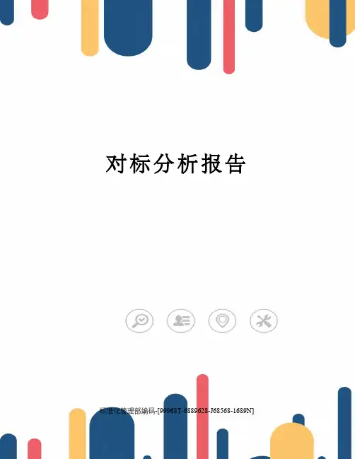 对标分析报告