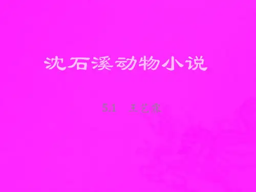 沈石溪动物小说