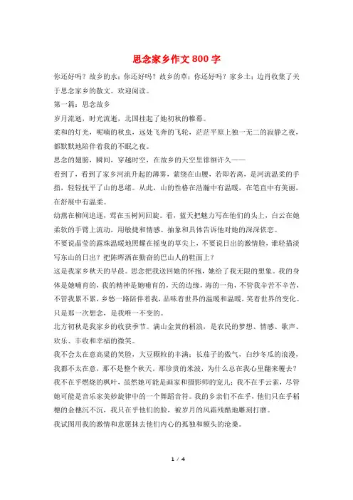 思念家乡作文800字