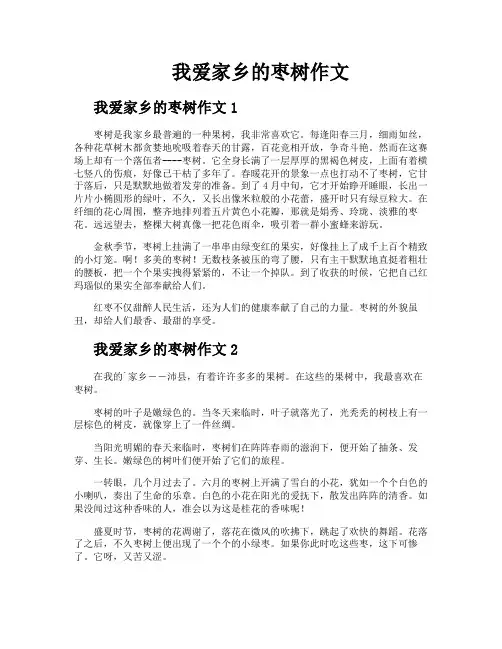 我爱家乡的枣树作文