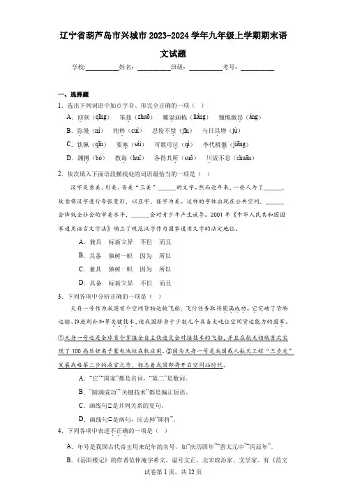 辽宁省葫芦岛市兴城市2023-2024学年九年级上学期期末语文试题(含答案)