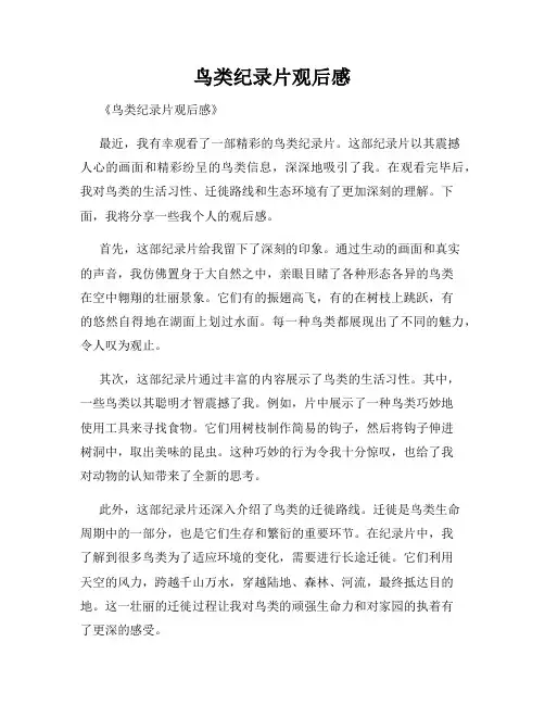 鸟类纪录片观后感