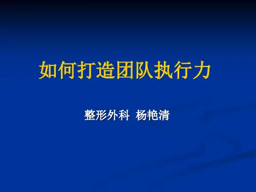 如何打造团队执行力(PPT 49页)