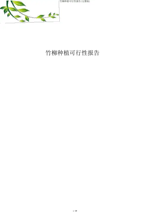 竹柳种植可行性报告(完整版)